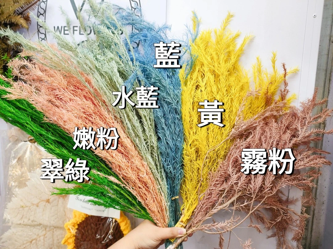 永生漂色茶樹