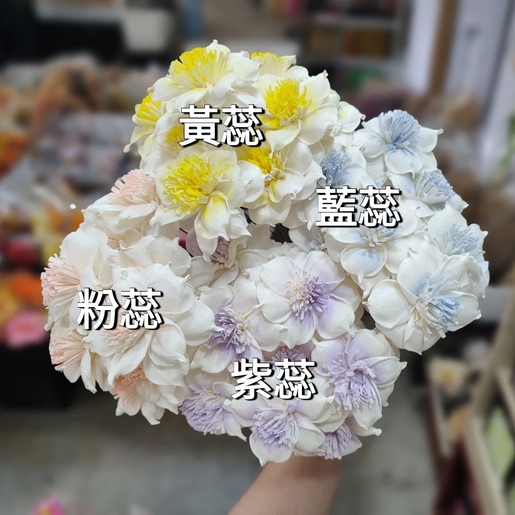索拉嘉德麗雅蘭 6公分