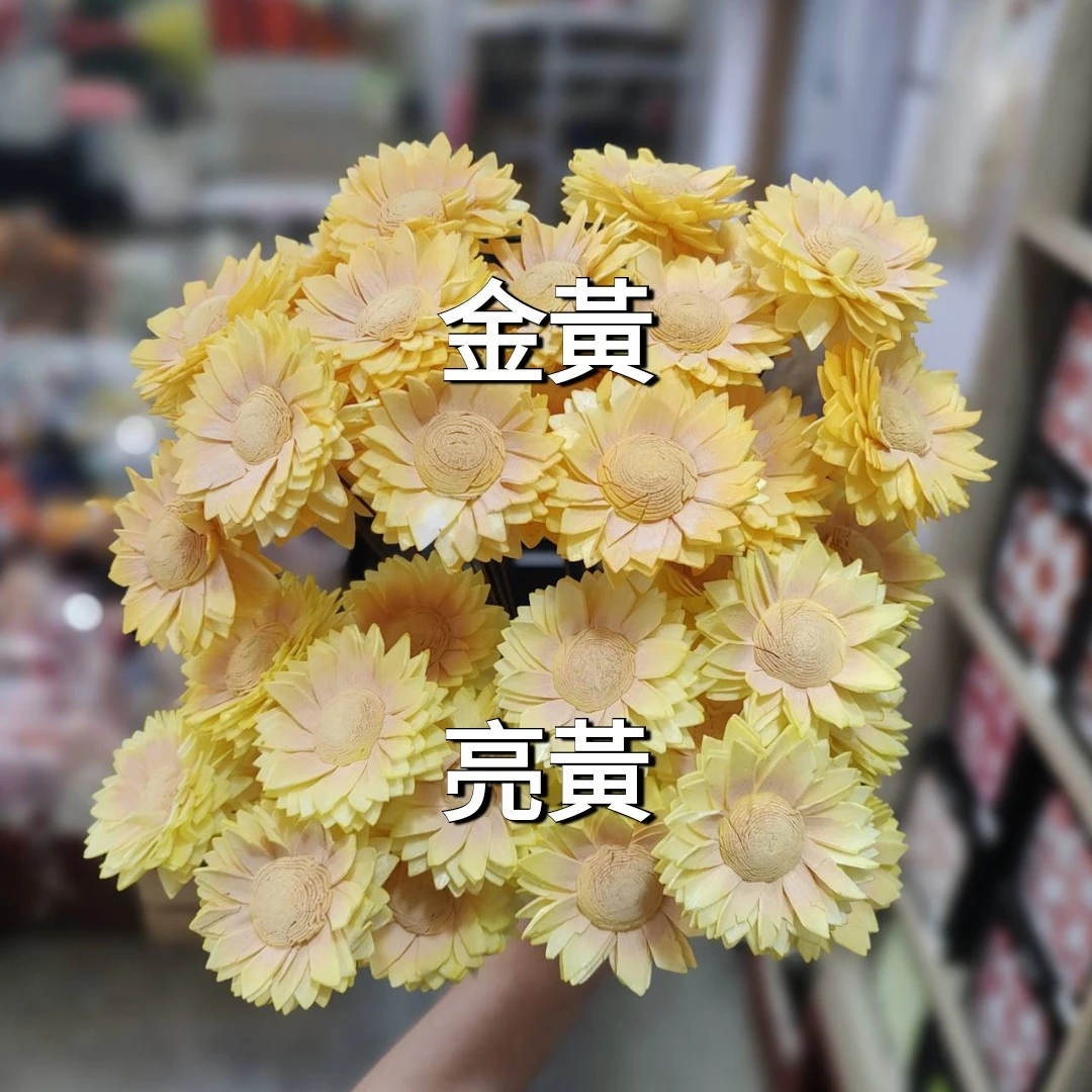 索拉暖陽向日葵 小朵（泰國）