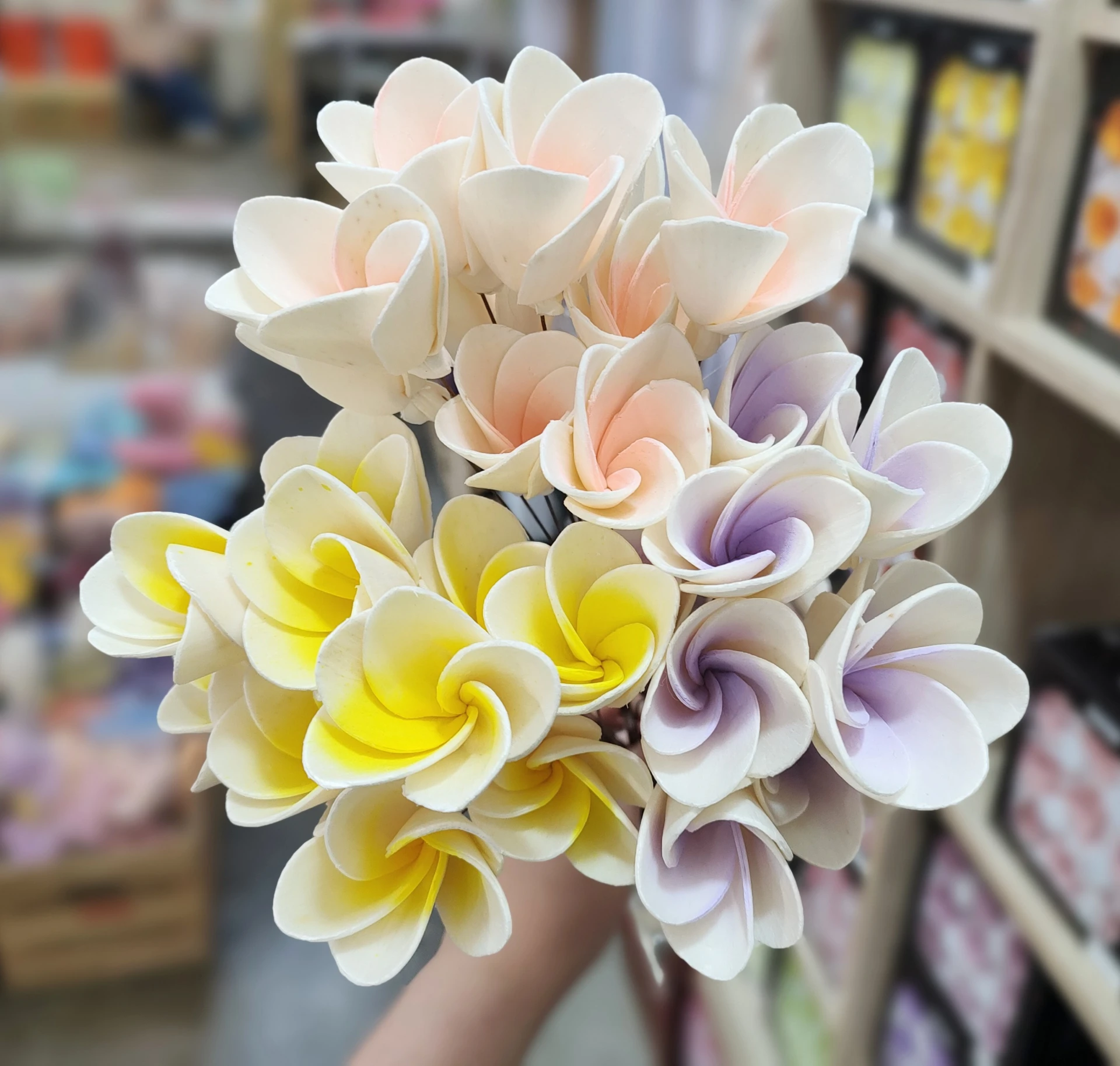 索拉雞蛋花