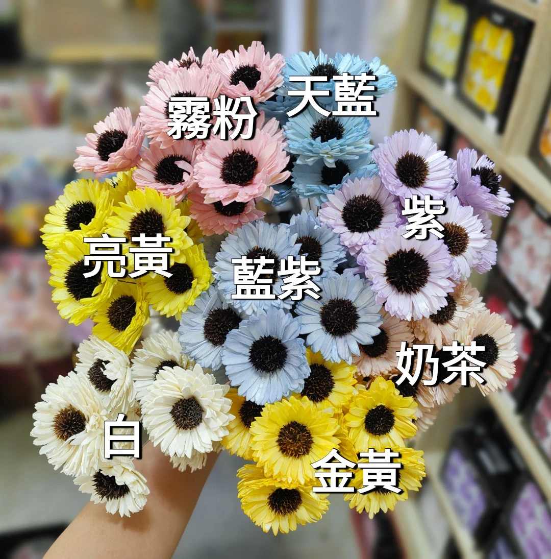 索拉向日葵 經典款