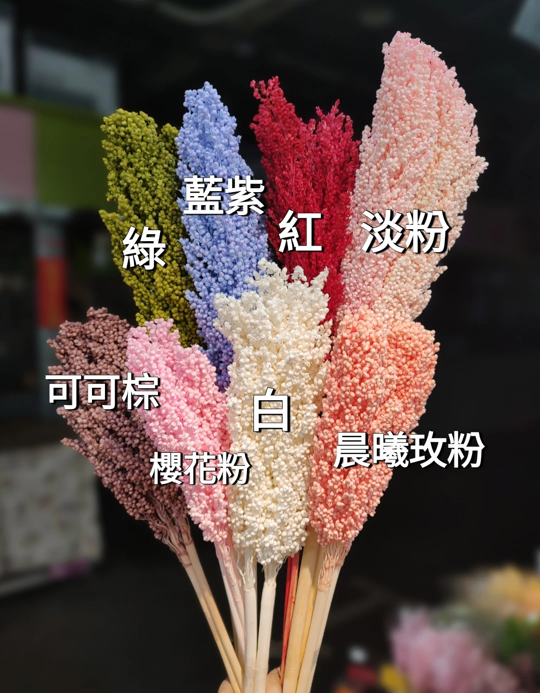 永生高粱