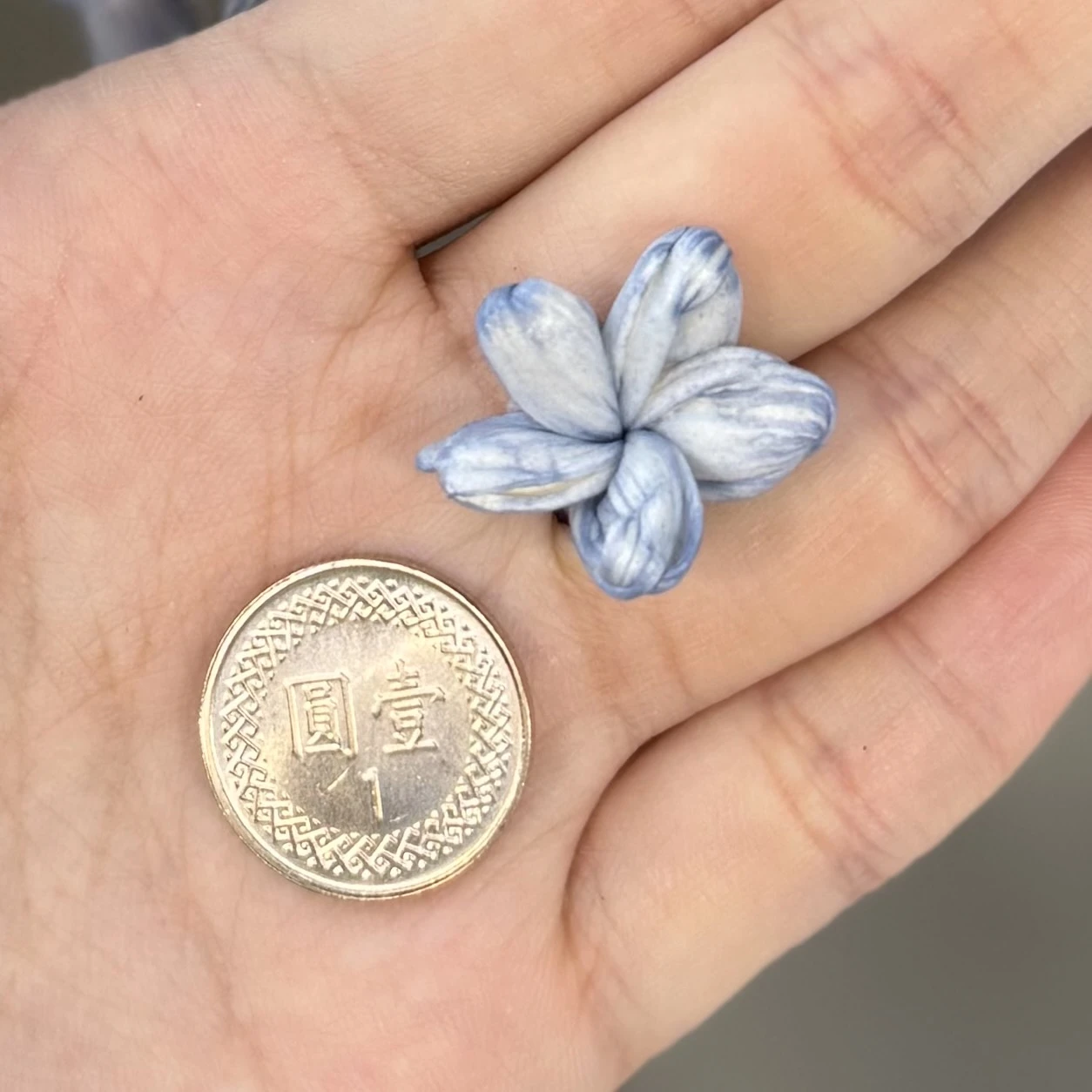索拉迷你胖胖茉莉