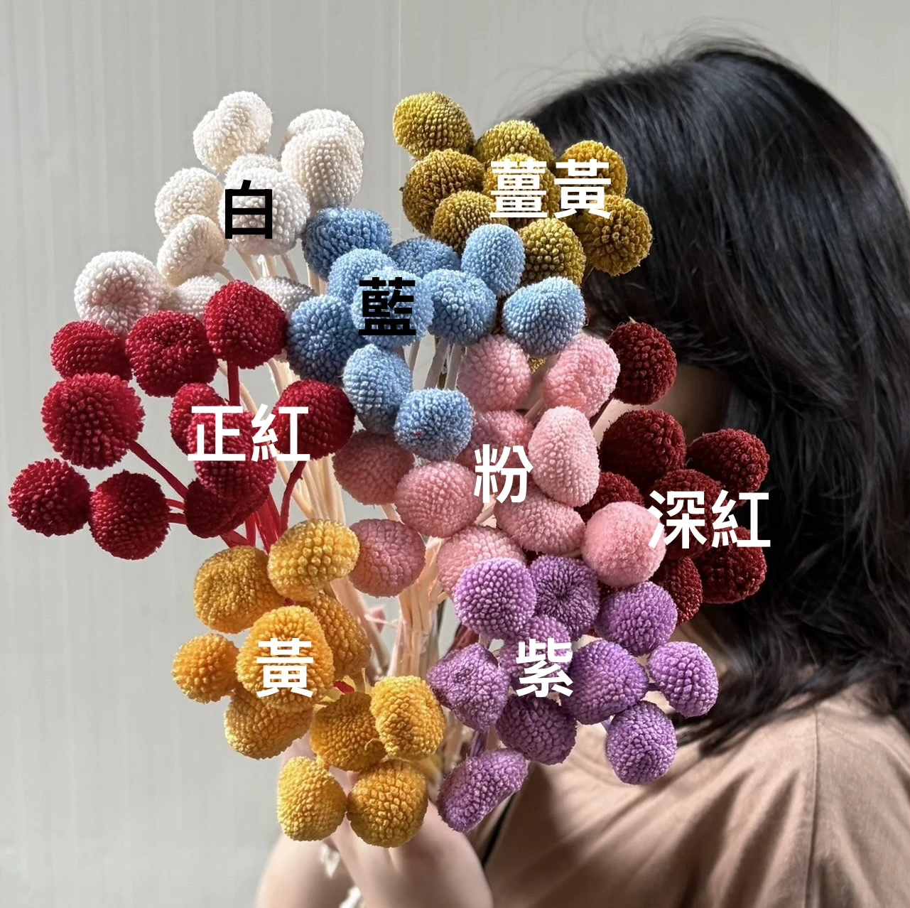 永生金杖球 小顆