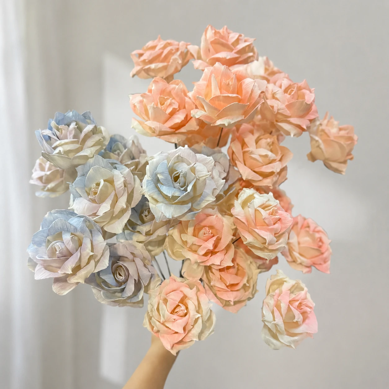 索拉薔薇