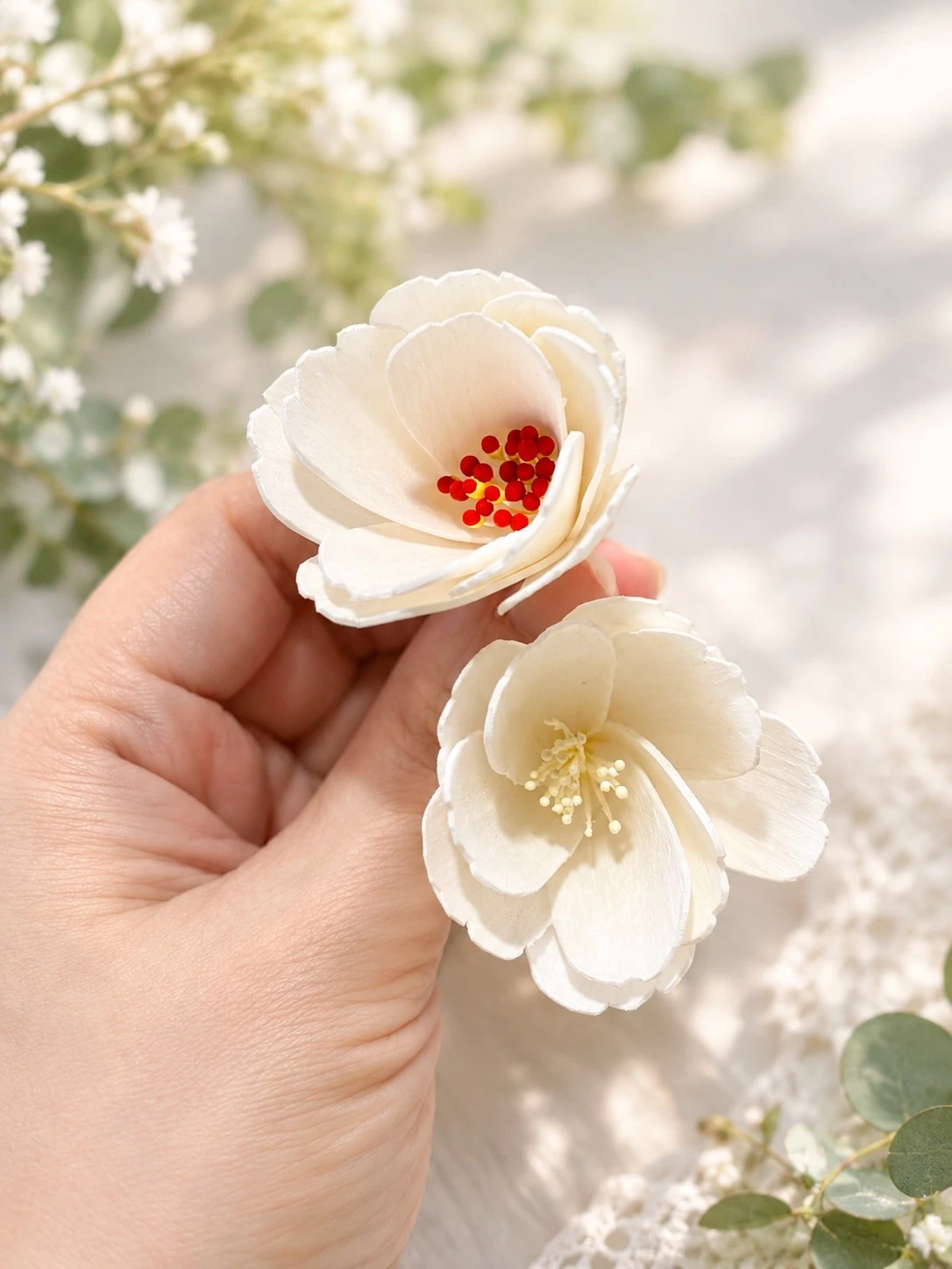 索拉櫻花