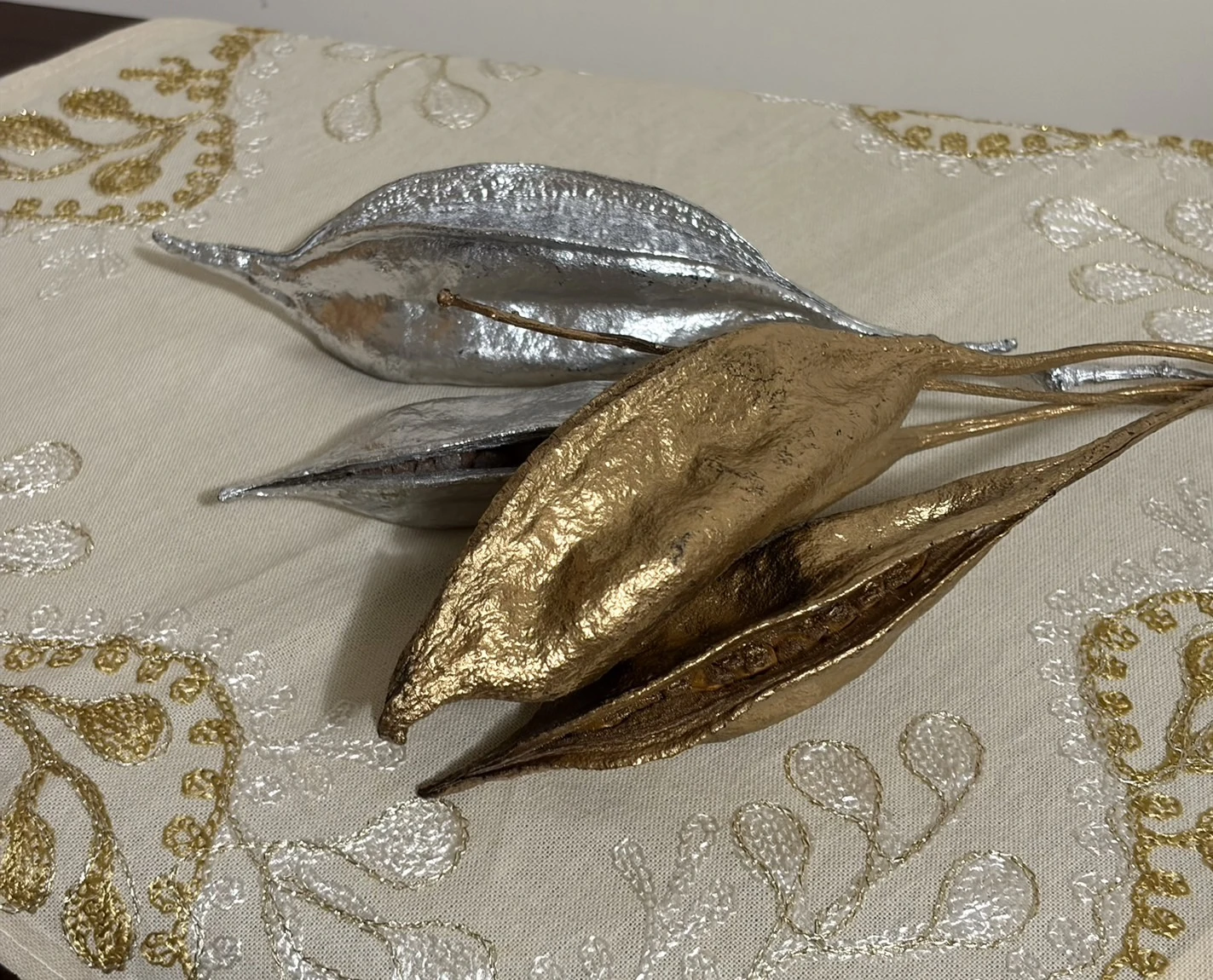 乾燥槭葉蘋婆果莢