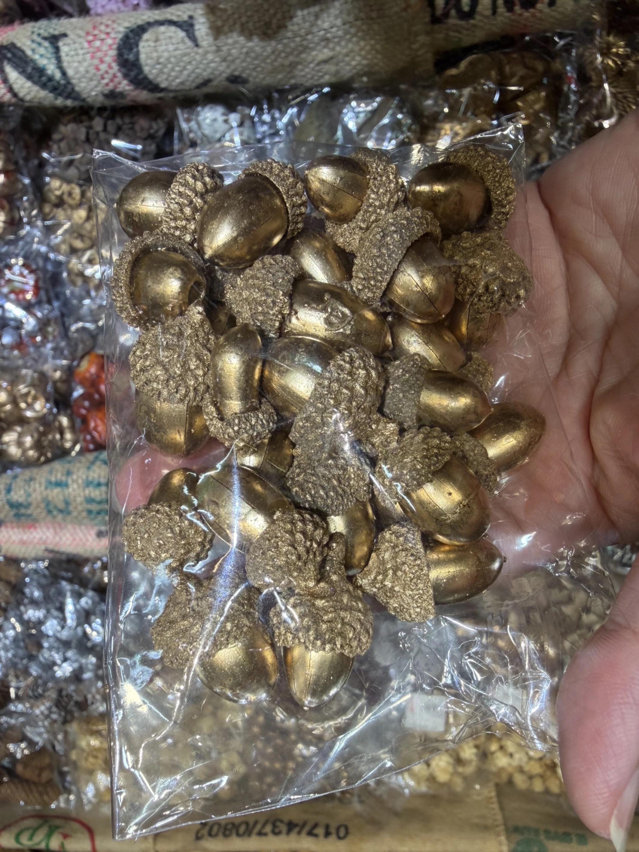 金色橡實