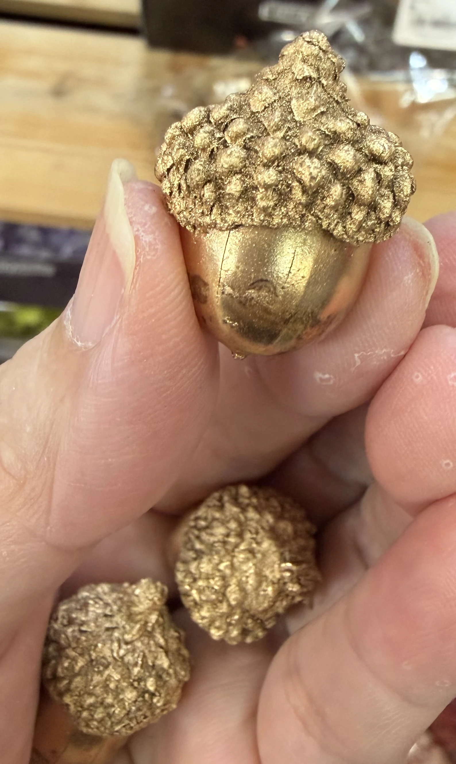 金色橡實