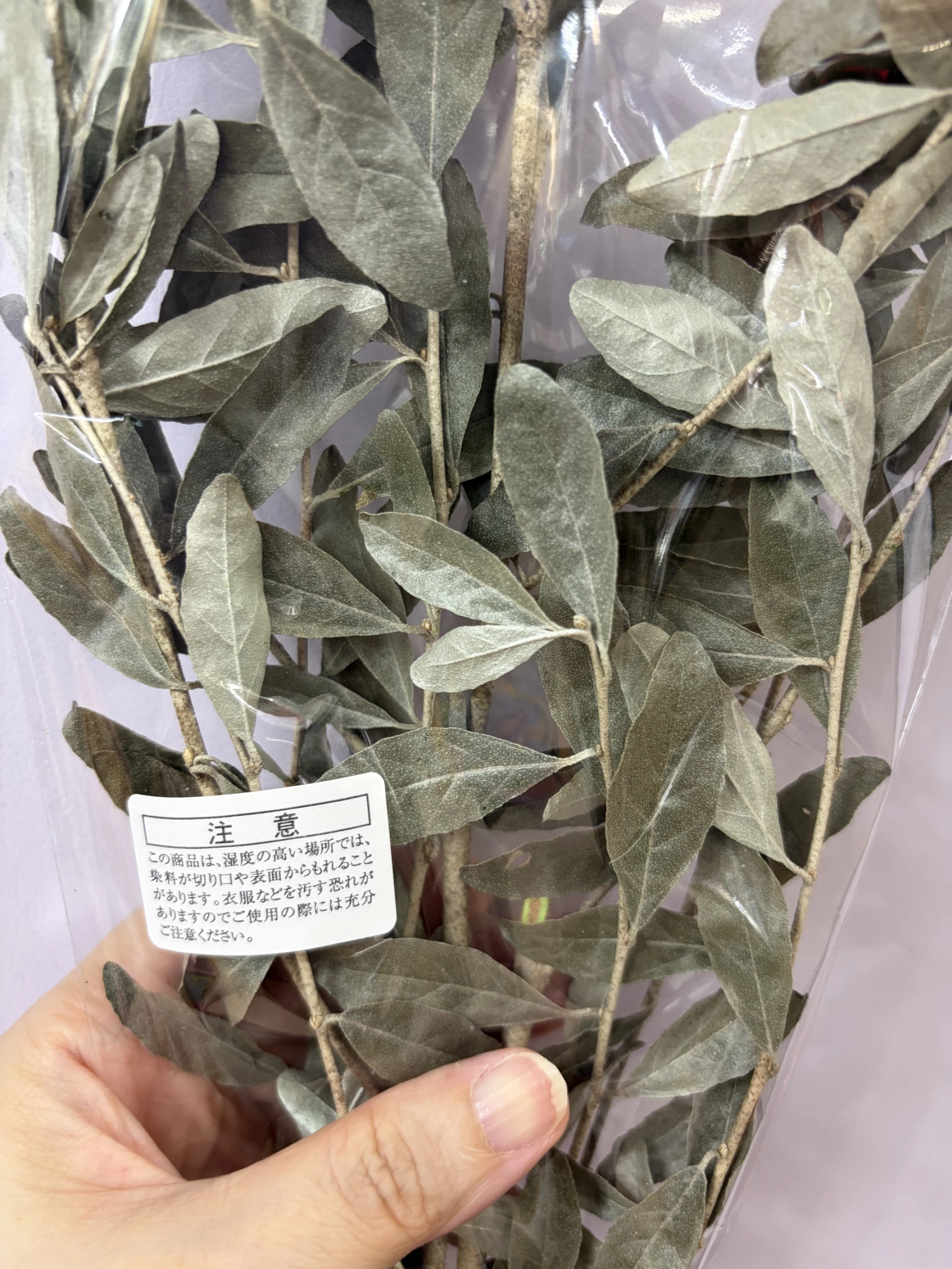 日本大地農園 俄羅斯橄欖葉 原色