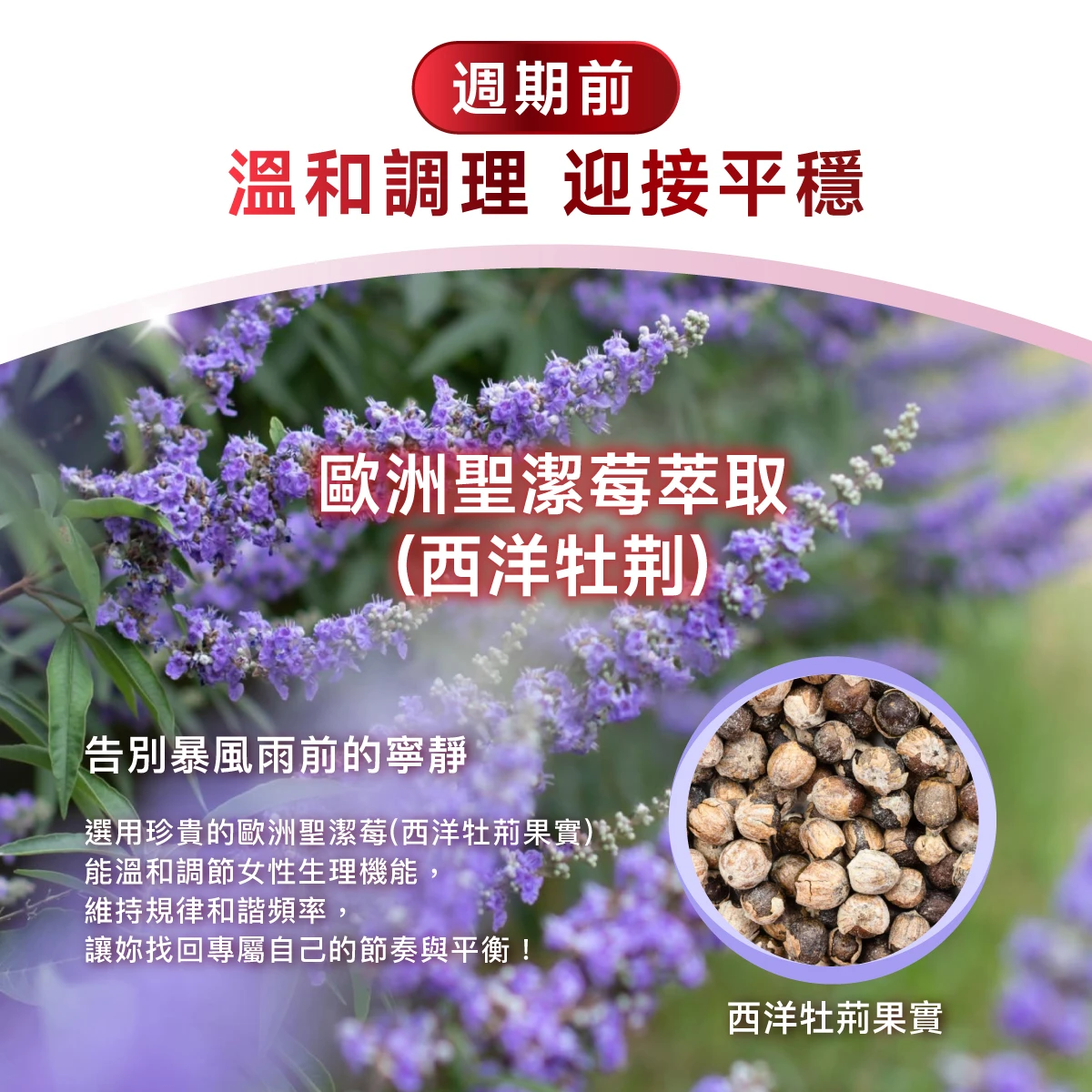 週期前,溫和調理,迎接平穩,歐洲聖潔莓萃取,西洋牡荆,專屬自己的節奏與平衡