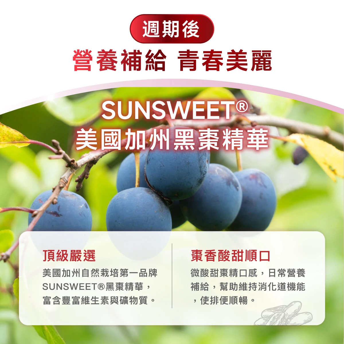 週期後,營養補給,青春美麗,SUNSWEET&reg;美國加州黑棗精華,第一品牌,黑棗,維生素,礦物質,棗香酸甜順口,微酸甜棗精口感,幫助維持消化道機能