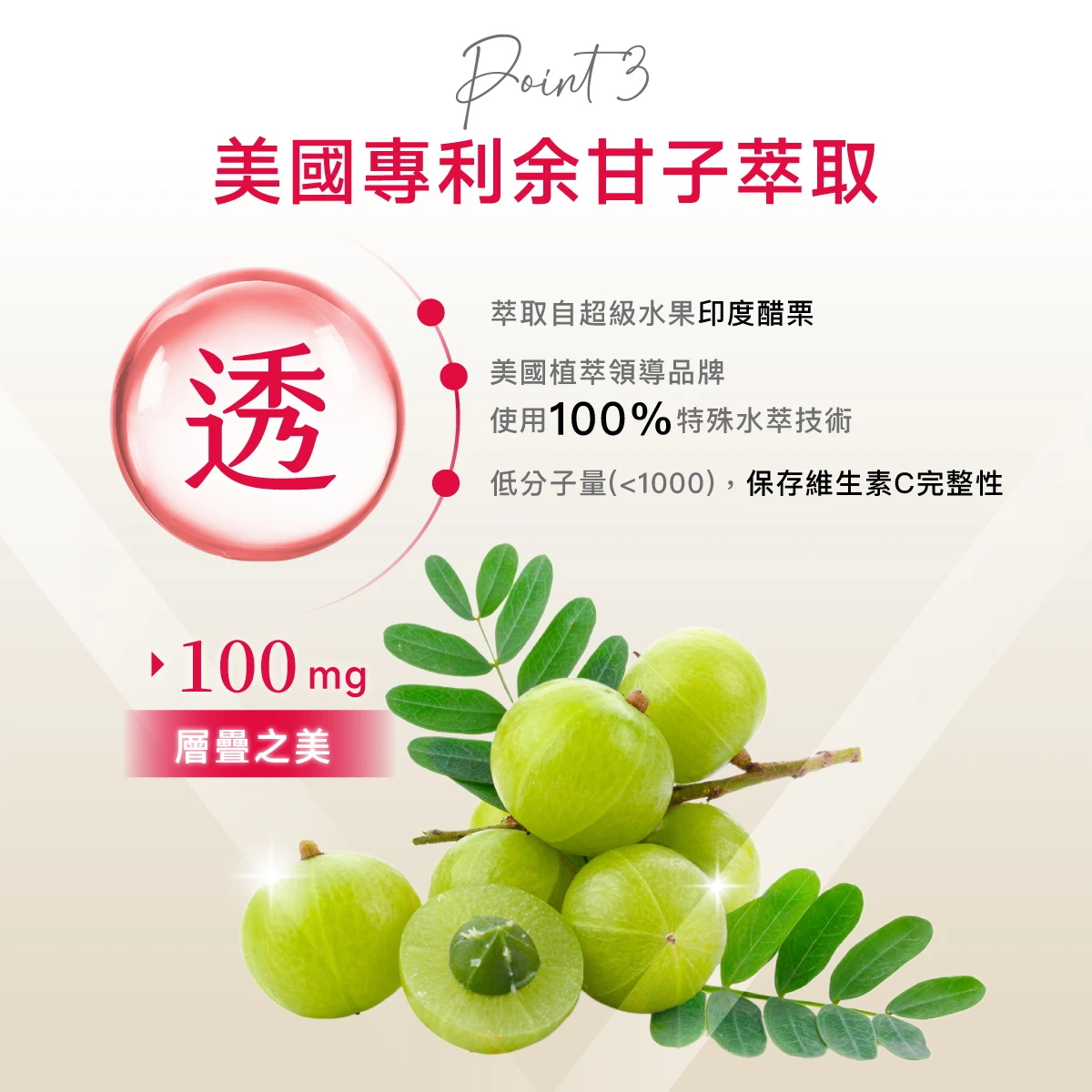 美國,余甘子,維生素C,維他命C,100mg