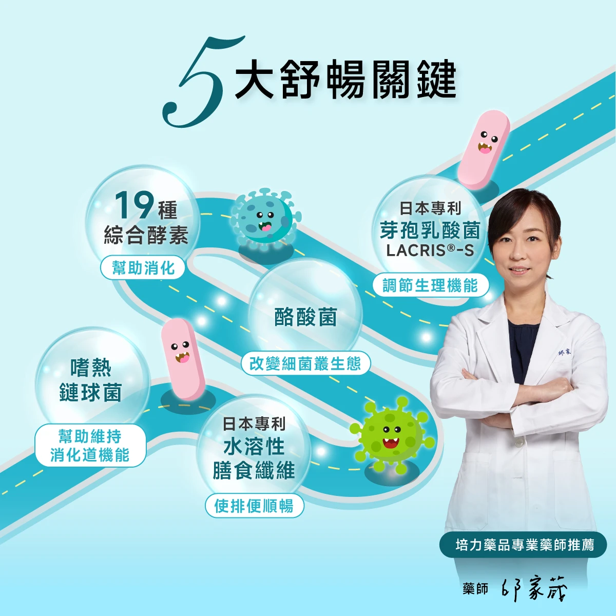 5大舒暢關鍵,19種美國綜合酵素,幫助消化,3大優勢益生菌,日本專利益生質膳食纖維,使排便順暢
