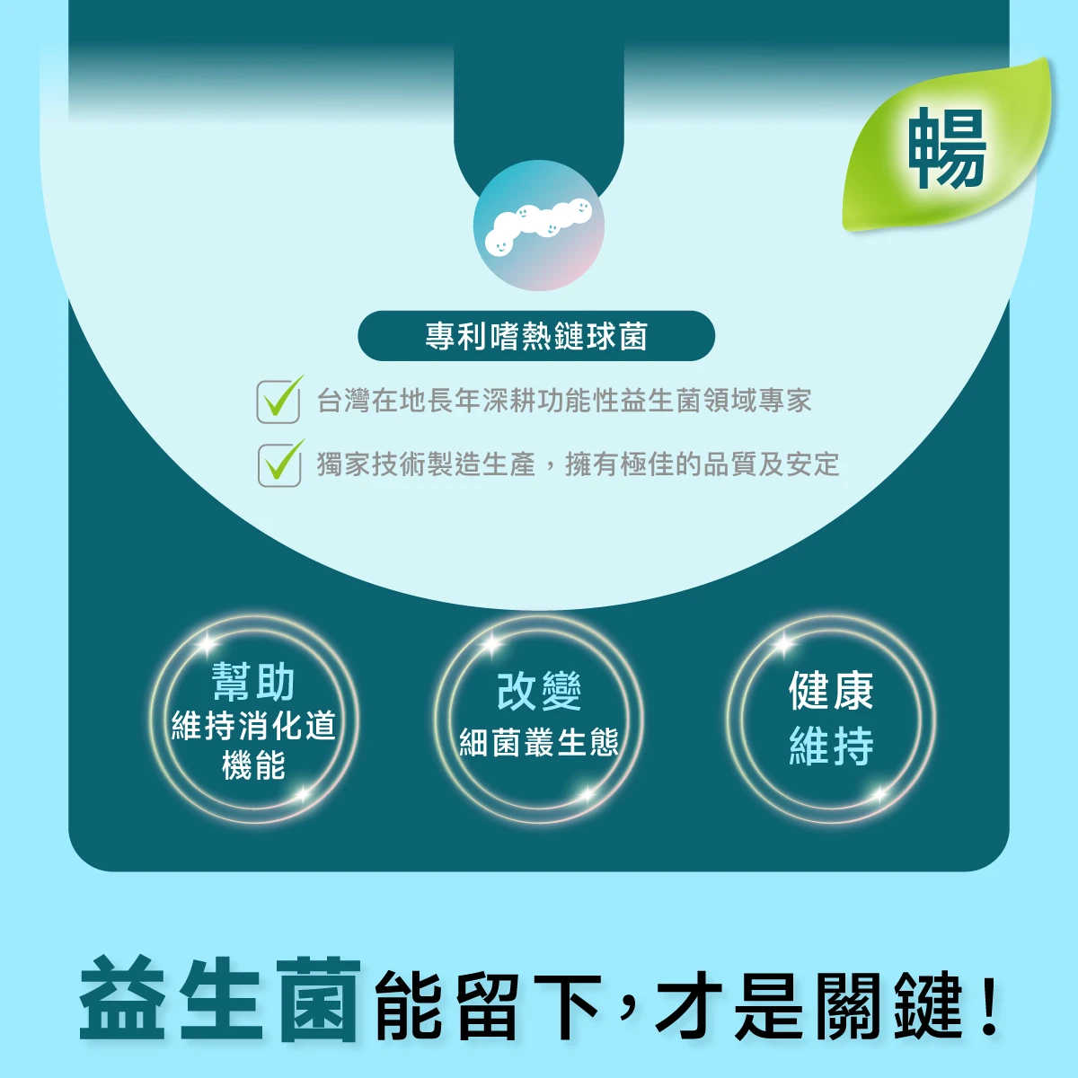 台灣專利嗜熱鏈球菌 ,幫助維持消化道機能,改變細菌叢生態,健康維持