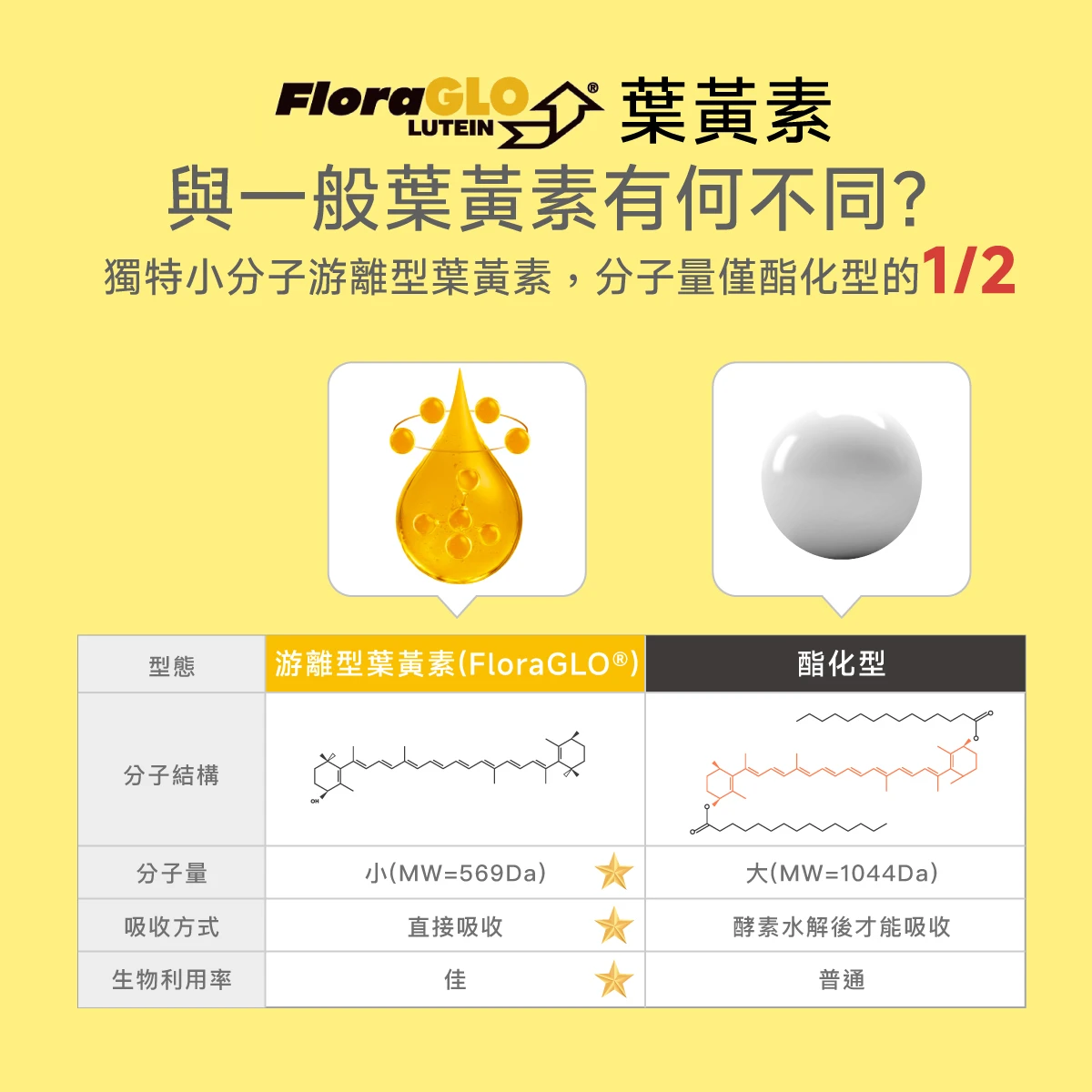 FloraGLO®​,游離型葉黃素,酯化型,分子量,小分子,生物利用率