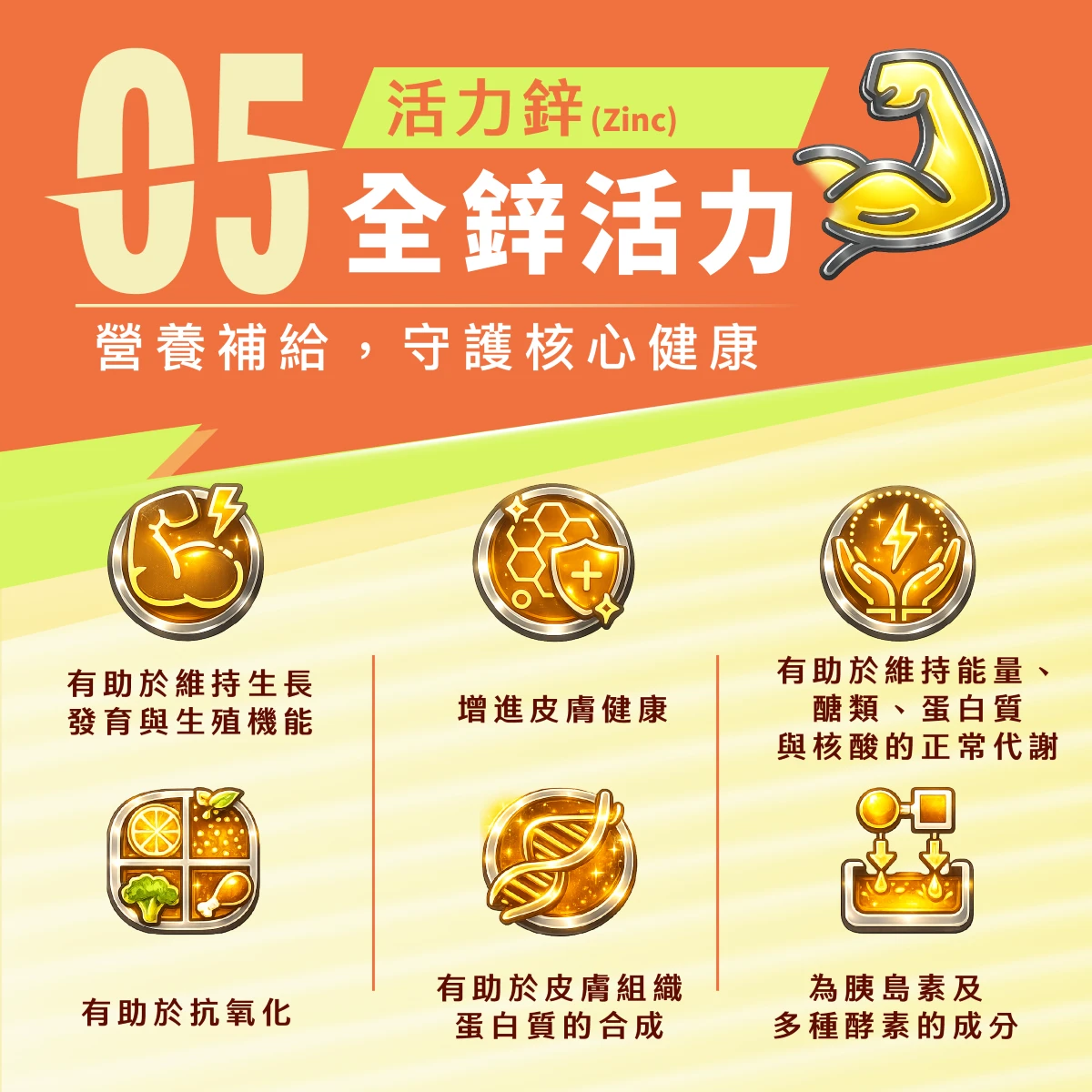 鋅,活力,增進皮膚健康,抗氧化,維持生長發育,生殖機能,胰島素,蛋白質合成