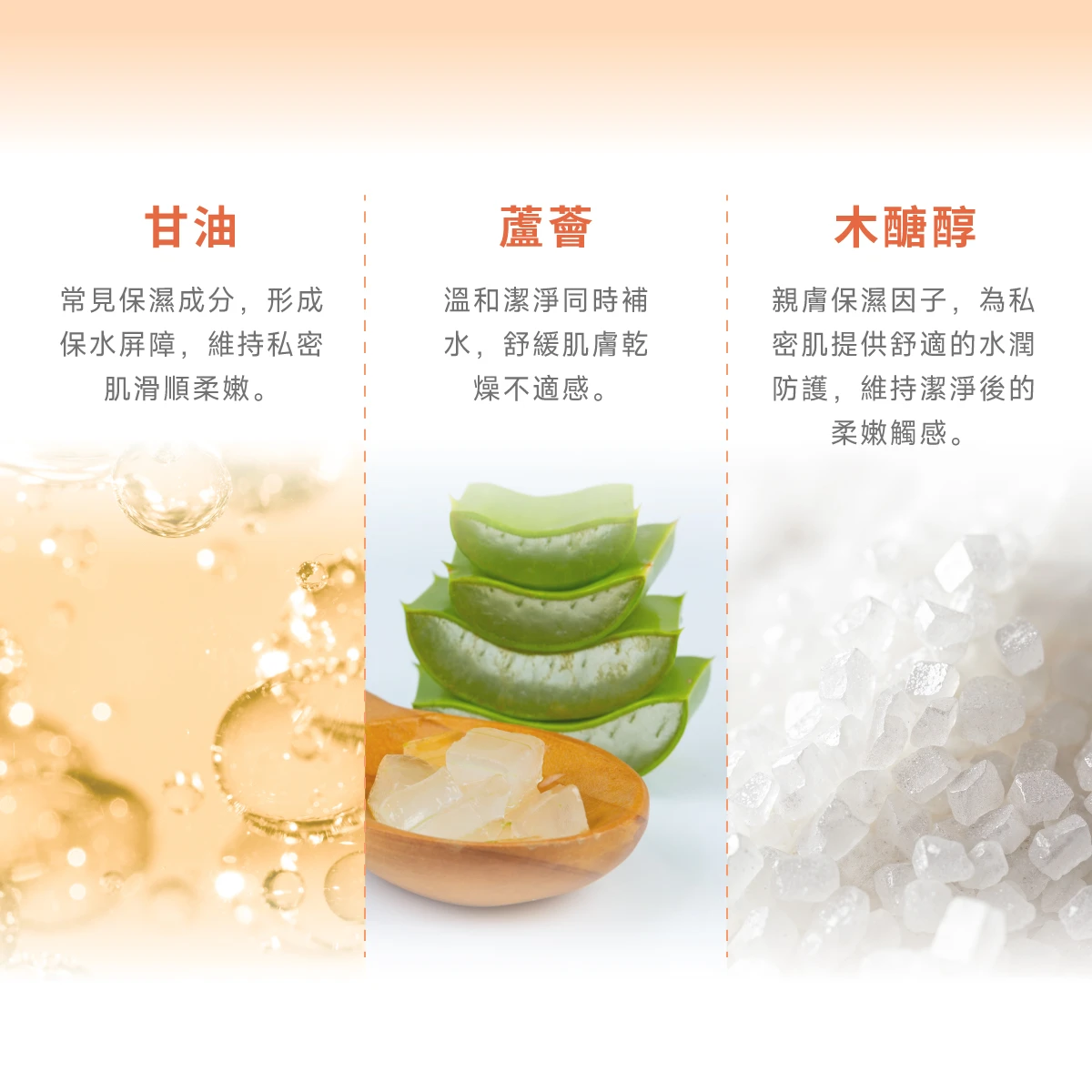 蘆薈：溫和潔淨同時補水，舒緩肌膚乾燥不適感。 甘油：常見保濕成分，形成保水屏障，維持私密肌滑順柔嫩。 木醣醇：親膚保濕因子，為私密肌提供舒適的水潤防護，維持潔淨後的柔嫩觸感。