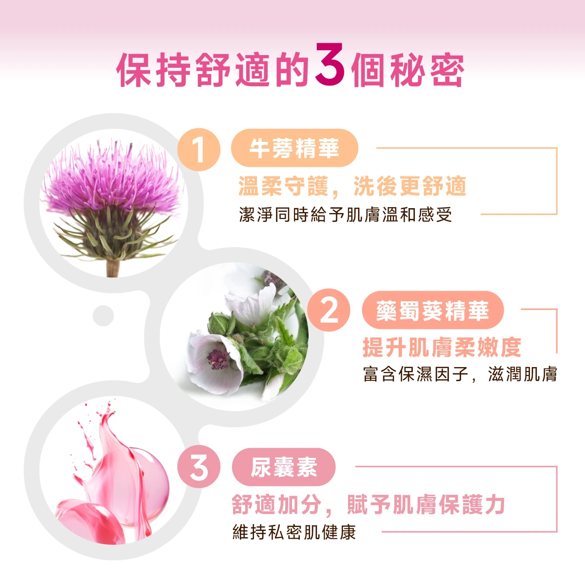 私密肌膚保持舒適的三個秘密：牛蒡精華溫柔守護，洗後更舒適；藥蜀葵精華富含保濕因子，滋潤肌膚，提升肌膚柔嫩度；尿囊素：舒適加分，賦予肌膚保護力，維持私密肌健康