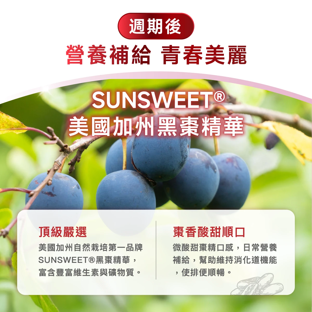 週期後,營養補給,青春美麗,SUNSWEET&reg;美國加州黑棗精華,第一品牌,黑棗,維生素,礦物質,棗香酸甜順口,微酸甜棗精口感,幫助維持消化道機能