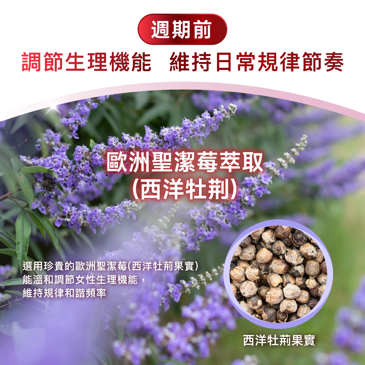 週期前,溫和調理,迎接平穩,歐洲聖潔莓萃取,西洋牡荆,專屬自己的節奏與平衡