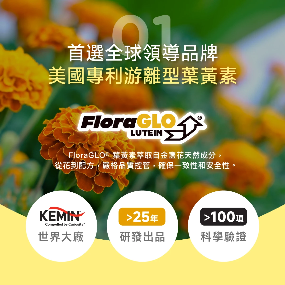 KEMIN,全球,美國,美國專利,FloraGLO&reg;​,游離型葉黃素,游離型,葉黃素