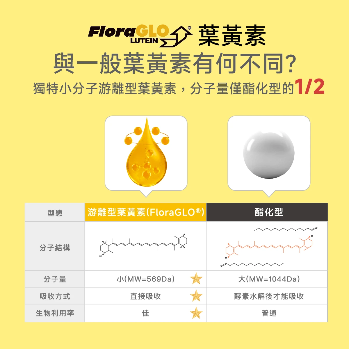 FloraGLO&reg;​,游離型葉黃素,酯化型,分子量,小分子,生物利用率