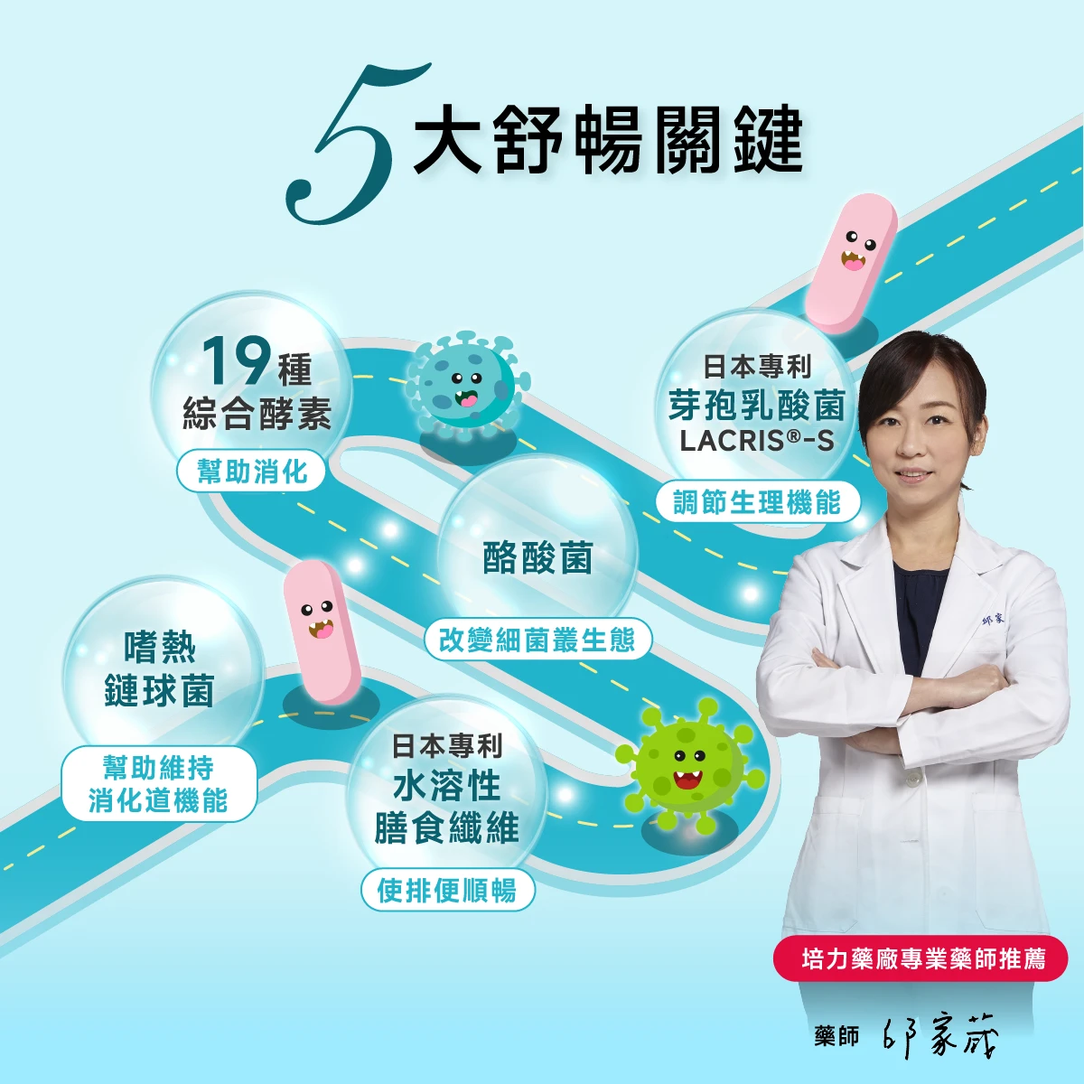 5大舒暢關鍵,19種美國綜合酵素,幫助消化,3大優勢益生菌,日本專利益生質膳食纖維,使排便順暢