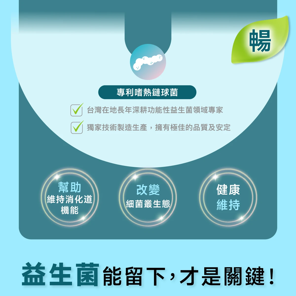 台灣專利嗜熱鏈球菌 ,幫助維持消化道機能,改變細菌叢生態,健康維持