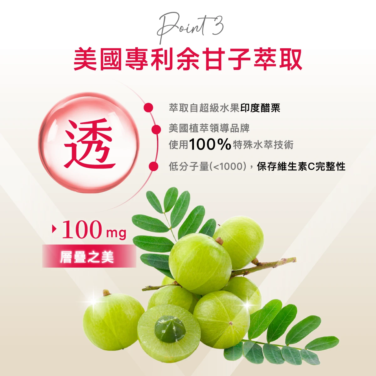 美國,余甘子,維生素C,維他命C,100mg