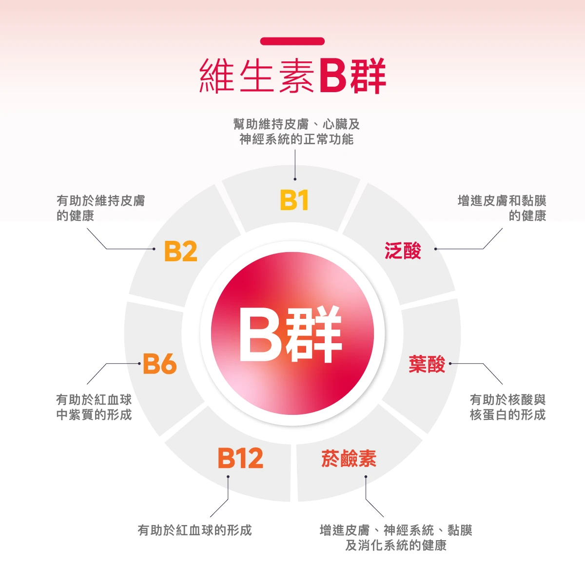 維生素B,B群,維他命B,代謝,養顏美容