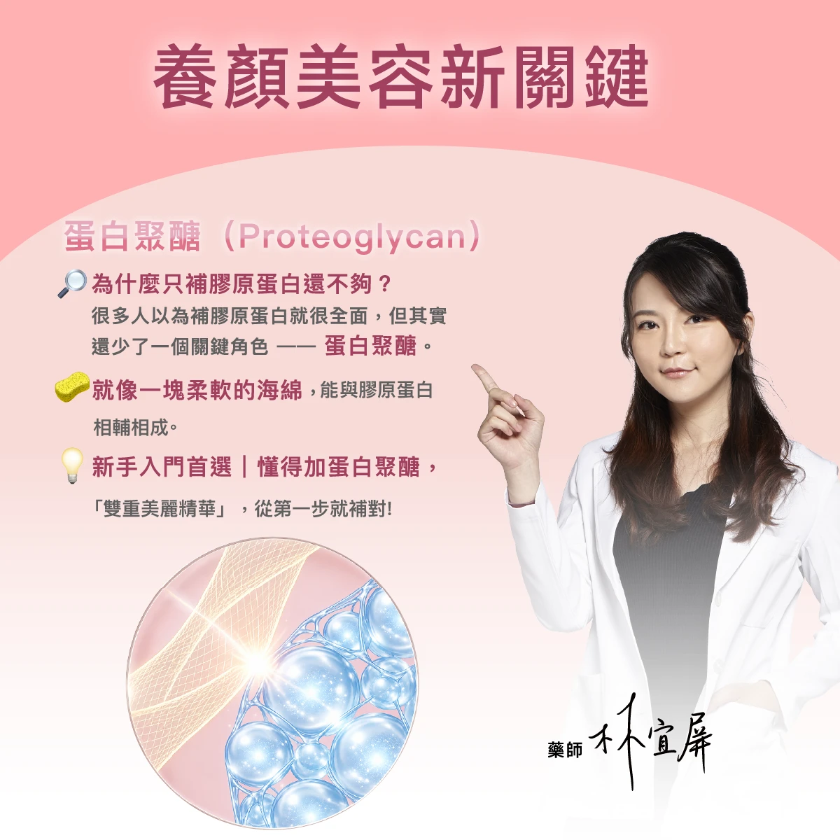 養顏美容,蛋白聚醣,穩固結構,膠原蛋白