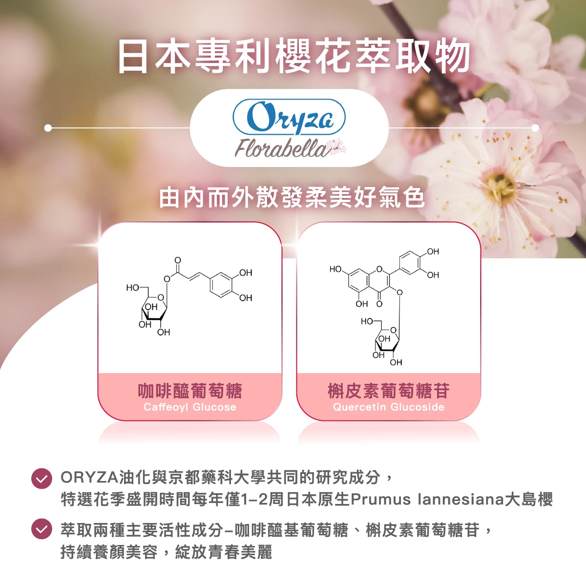 日本專利櫻花萃取物,ORYZA油化與京都藥科大學共同的研究成分,特選花季盛開時間每年僅1-2周日本原生Prumus lannesiana大島櫻。萃取兩種主要活性成分-咖啡醯基葡萄糖、槲皮素葡萄糖苷，持續養顏美容，綻放青春美麗