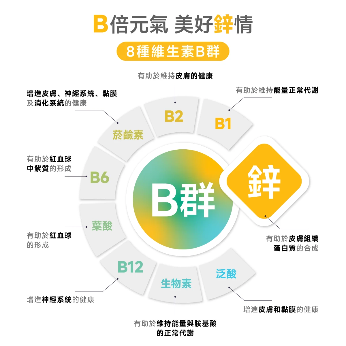 8種,維生素B,B群,維他命B,鋅,ZN