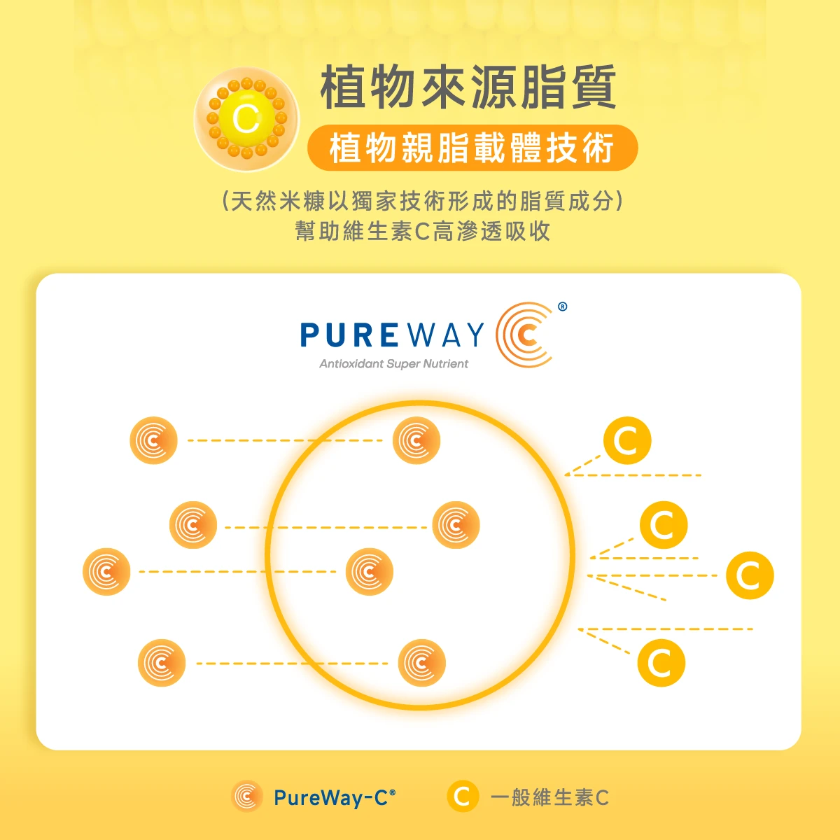 植物來源,高吸收,pureway C,植物親脂載體技術,獨家專利