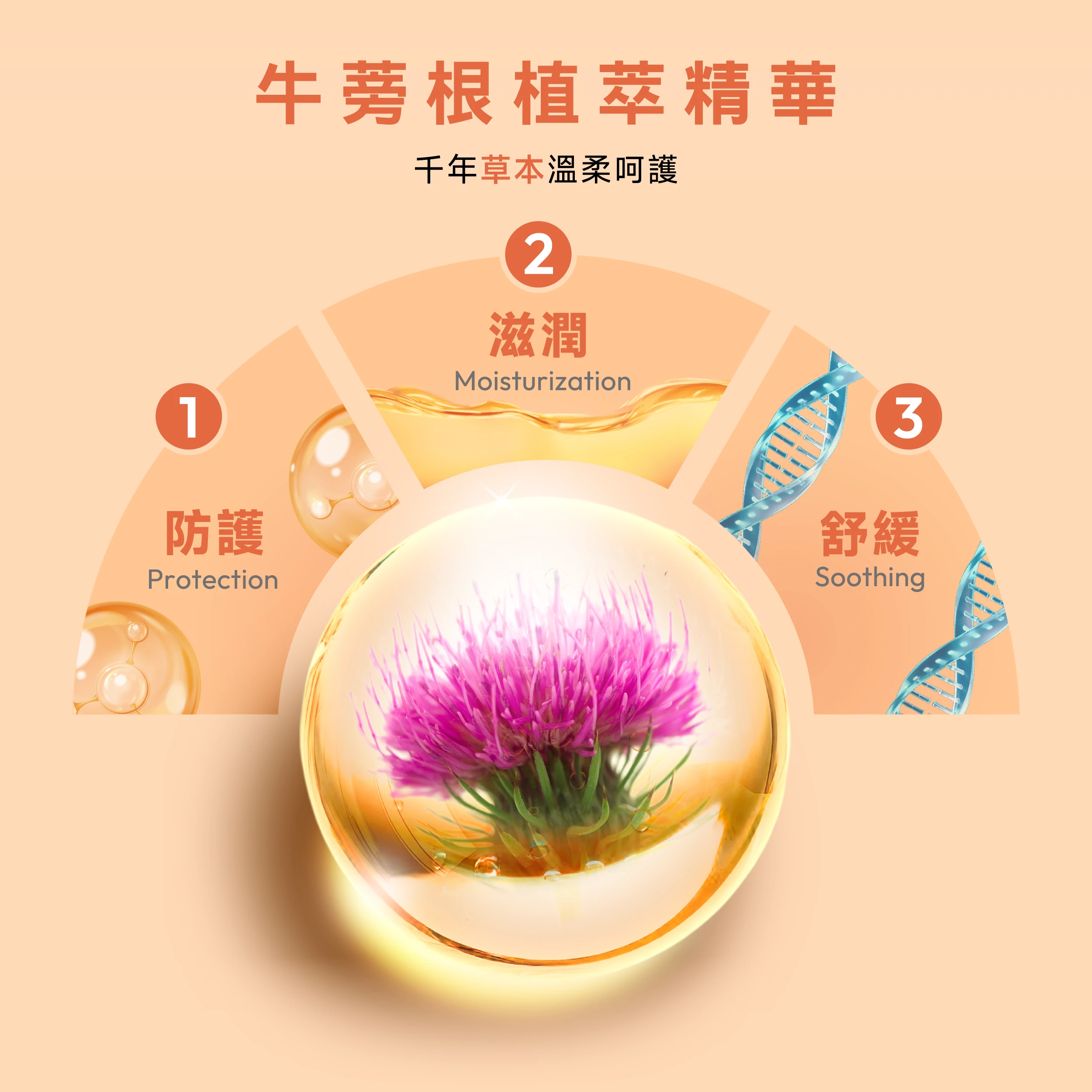 牛蒡植萃精華能溫和淨化、調理私密肌膚，幫助維持健康平衡。洗後感覺清爽又舒適，給你最細緻的呵護。