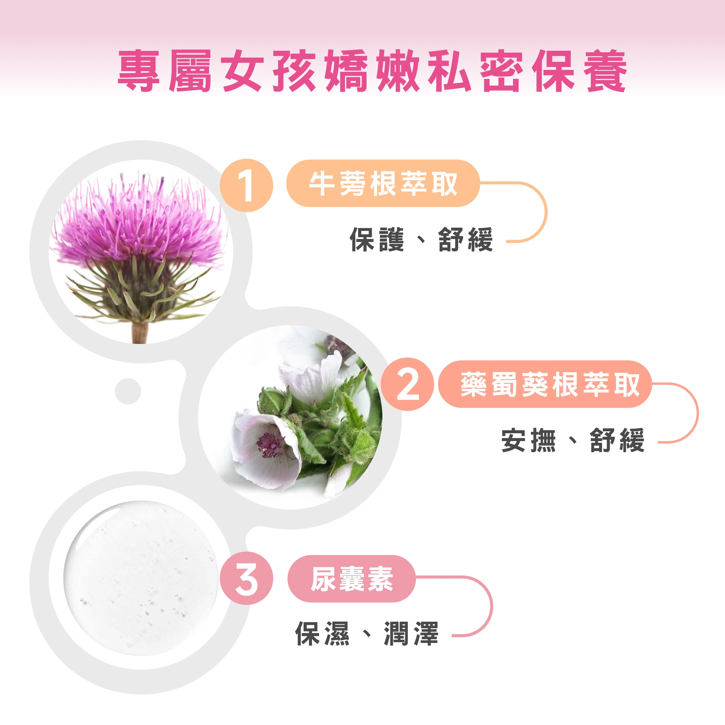 私密肌膚保持舒適的三個秘密：牛蒡精華溫柔守護，洗後更舒適；藥蜀葵精華富含保濕因子，滋潤肌膚，提升肌膚柔嫩度；尿囊素：舒適加分，賦予肌膚保護力，維持私密肌健康