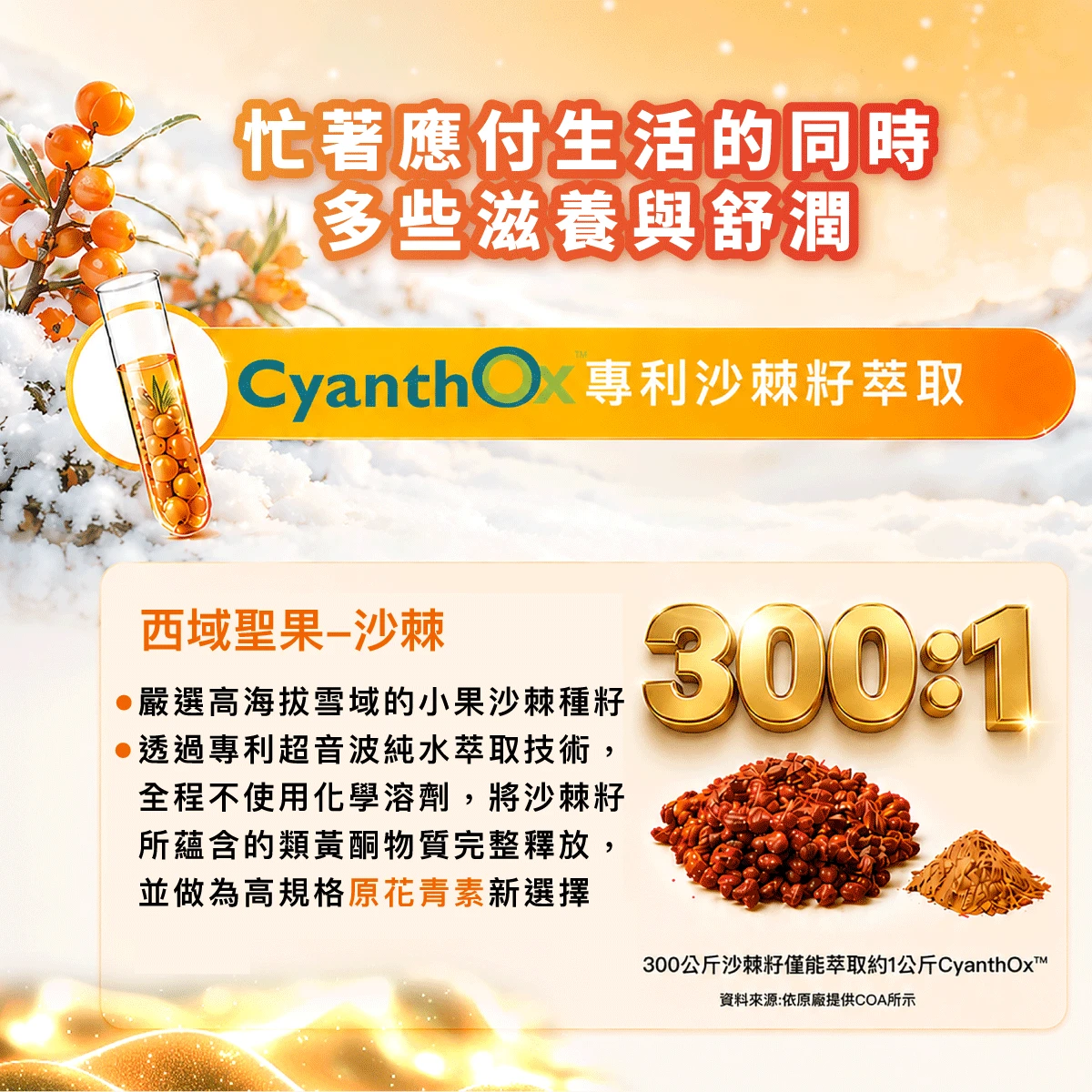 CyanthOx&trade; 專利沙棘籽萃取物,OPC,沙棘籽,300:1,沙棘,滋養,舒潤