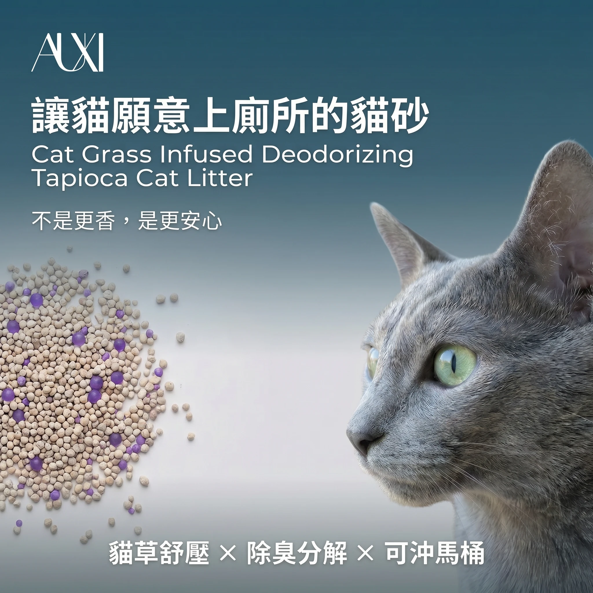 什麼是貓草貓砂?