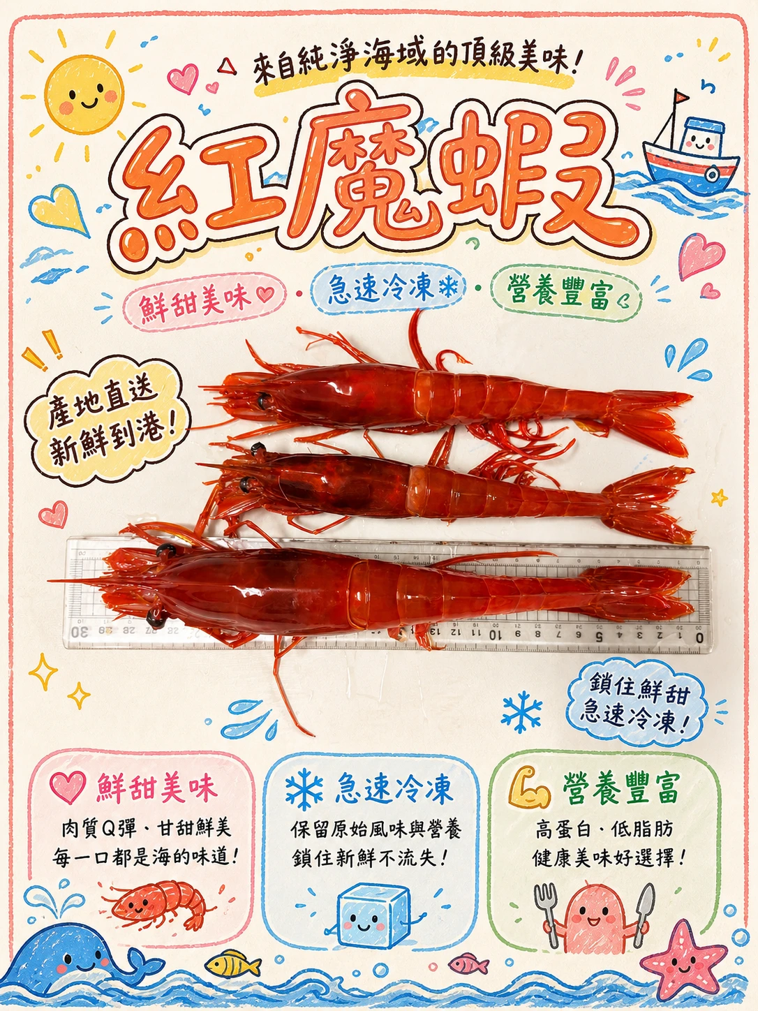 特特大/手臂紅魔蝦