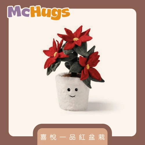喜悅一品紅盆栽