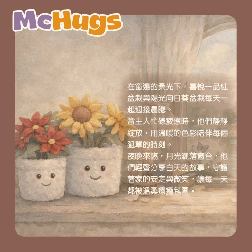 喜悅一品紅盆栽
