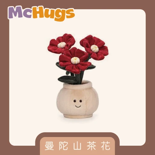 曼陀山茶花