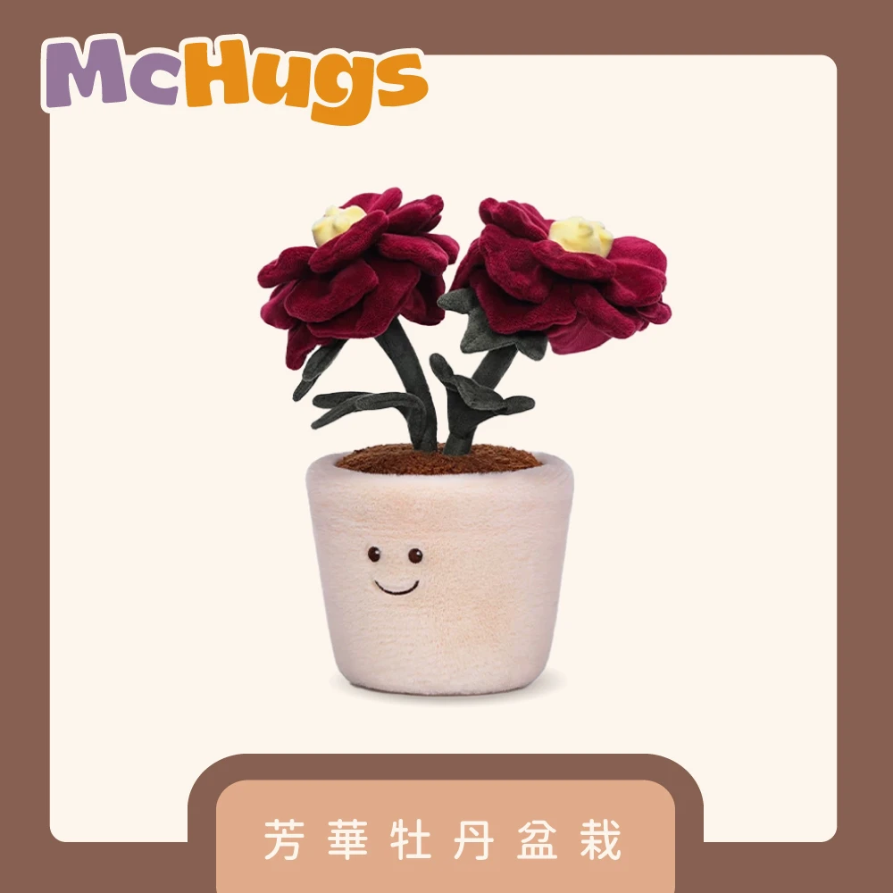 芳華牡丹盆栽