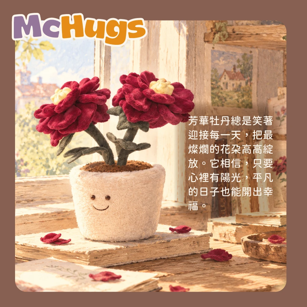 芳華牡丹盆栽