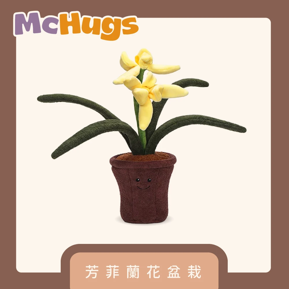 芳菲蘭花盆栽