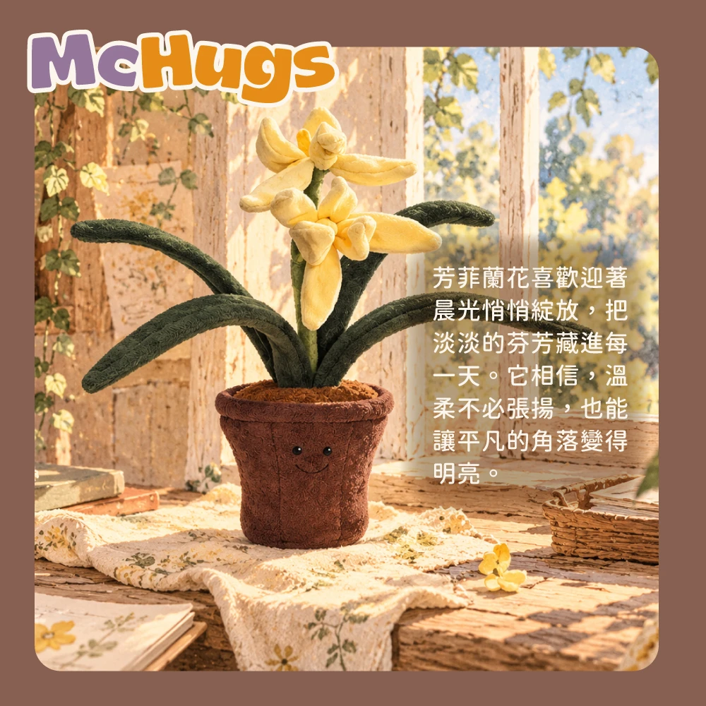 芳菲蘭花盆栽