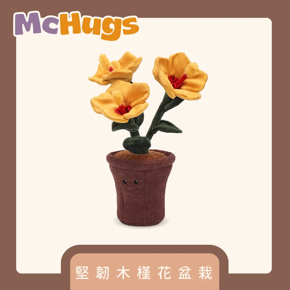 堅韌木槿花盆栽