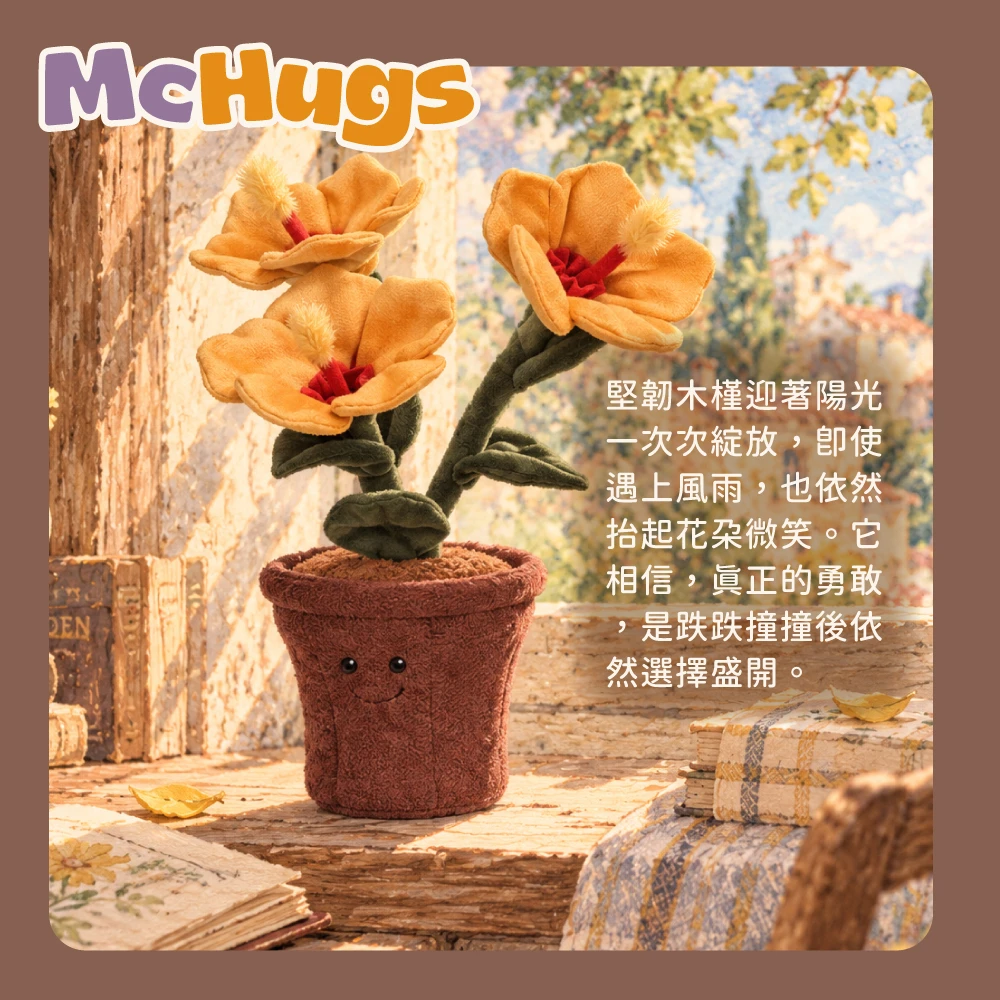 堅韌木槿花盆栽