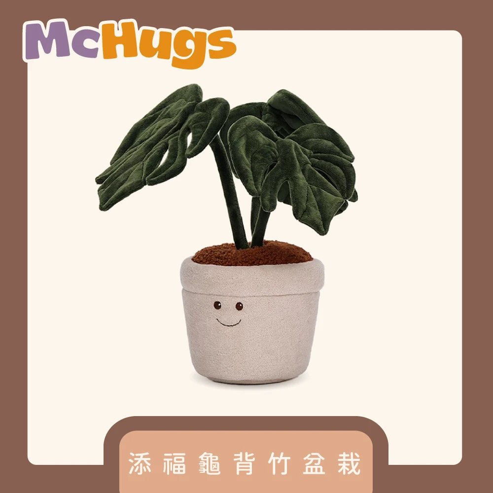 添福龜背竹盆栽